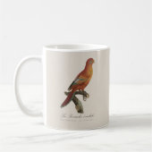 Rotlori oder Eos Bornea, Trichoglossus borneus Kaffeetasse (Links)