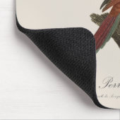 Rotlori oder Eos Bornea, Trichoglossus borneus Mousepad (Ecke)