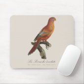 Rotlori oder Eos Bornea, Trichoglossus borneus Mousepad (Mit Mouse)