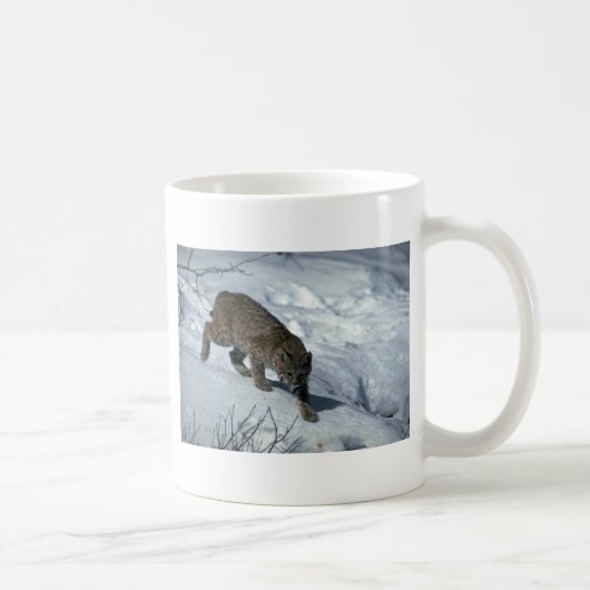 Rotluchs auf Schnee Kaffeetasse (Rechts)