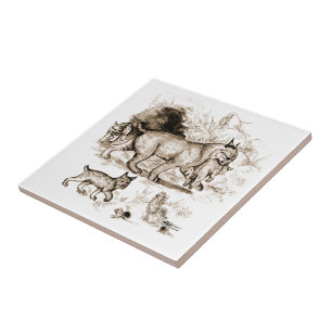 Rotluchs-Familie Fliese