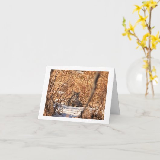 Rotluchs notecard karte (Gelbe Blume)