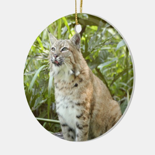 Rotluchs-Weihnachtsverzierung Keramik Ornament (Links)