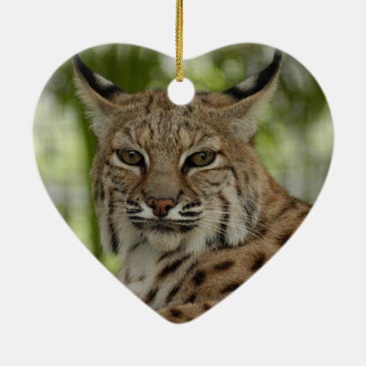 Rotluchs-Weihnachtsverzierung Keramikornament (Hinten)