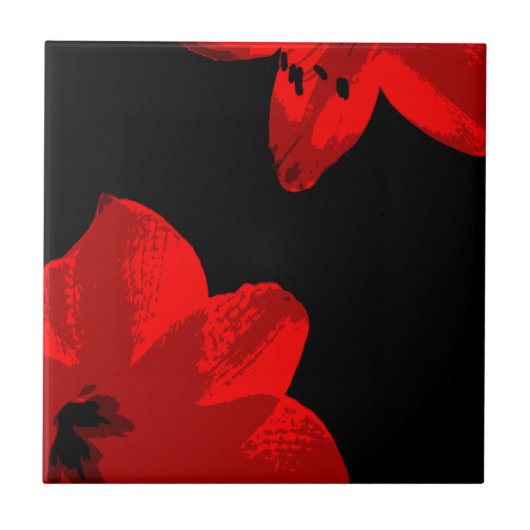 Rotmaryllis duo fliese (Vorderseite)