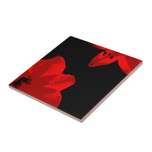 Rotmaryllis duo fliese (Seite)