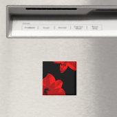 Rotmaryllis duo magnet (In Situ (Geschirrspüler))