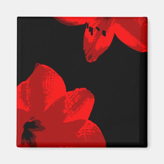 Rotmaryllis duo magnet (Vorne)