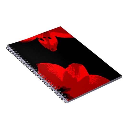 Rotmaryllis duo notizblock (Rechte Seite)