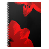 Rotmaryllis duo notizblock (Vorderseite)