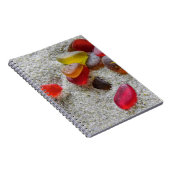 Rotmeerglas - Notebook Notizblock (Rechte Seite)