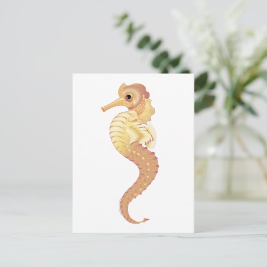 Rotmeerhengst Postkarte (Stehend Vorderseite)