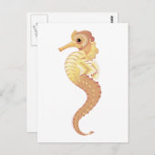 Rotmeerhengst Postkarte (Vorne/Hinten)