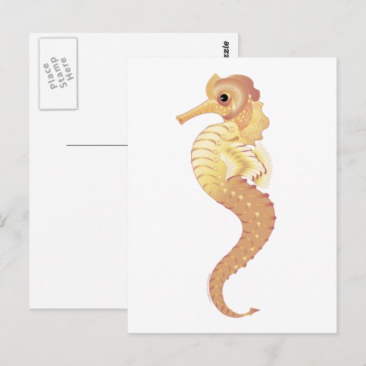 Rotmeerhengst Postkarte (Vorne/Hinten)