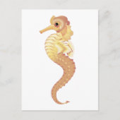 Rotmeerhengst Postkarte (Vorderseite)