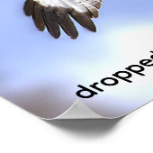 Rotmilan lässt Nahrung fallen Poster (Ecke)