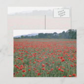 Rotmohnfeld, Kent, England, Blume Postkarte (Vorne/Hinten)