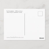 Rotoshere Lakeland Postkarte (Rückseite)