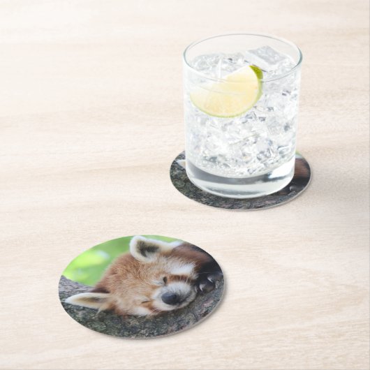 RotPanda20150705 Runder Pappuntersetzer (Vor Ort)