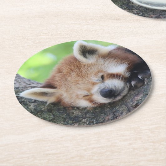 RotPanda20150705 Runder Pappuntersetzer (Angewinkelt)