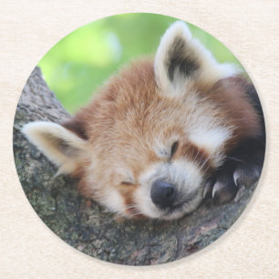 RotPanda20150705 Runder Pappuntersetzer