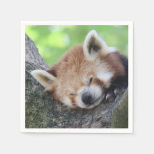 RotPanda20150705 Serviette