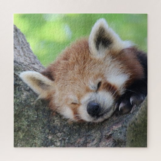 RotPanda 2020-03-02 Puzzle (Vertikal)