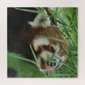 RotPanda 2020-03-03 Puzzle (Horizontal)