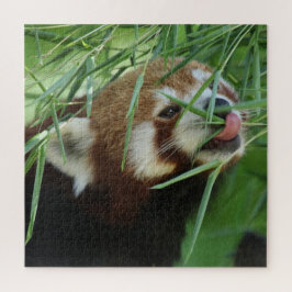RotPanda 2020-03-03 Puzzle