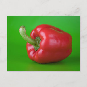 Rotpaprika Postkarte