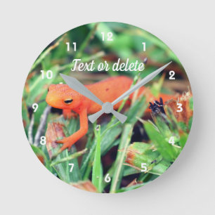 Rotsalamander Orange Salamander Natur Personalisie Runde Wanduhr