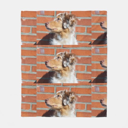 Rotschäfer 2 fleecedecke (Vorderseite)