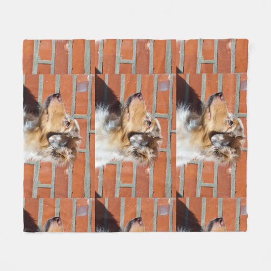 Rotschäfer 2 fleecedecke (Vorderseite (Horizontal))