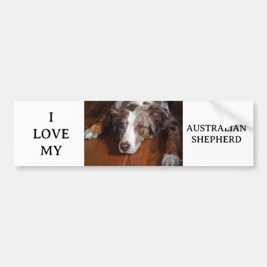 Rotschäfer Autoaufkleber (Vorne)