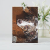 Rotschäfer Dankeskarte (Stehend Vorderseite)