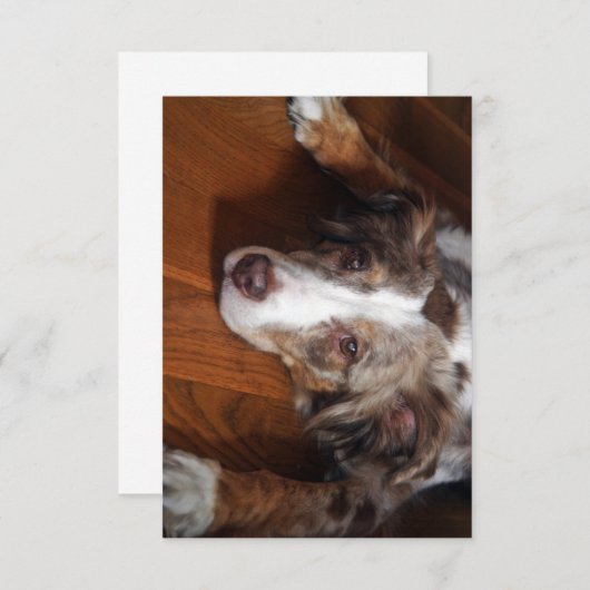 Rotschäfer Dankeskarte (Vorne/Hinten)