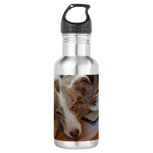 Rotschäfer Edelstahlflasche (Vorderseite)