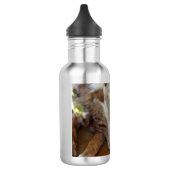 Rotschäfer Edelstahlflasche (Links)