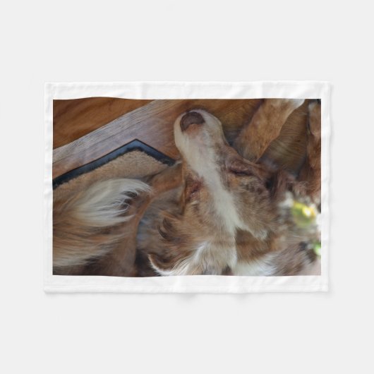 Rotschäfer Fleecedecke (Vorderseite (Horizontal))