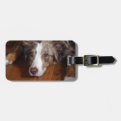 Rotschäfer Gepäckanhänger (Vorderseite horizontal)