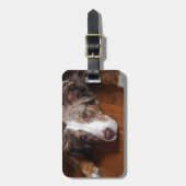 Rotschäfer Gepäckanhänger (Vorderseite vertikal)