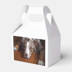 Rotschäfer Geschenkschachtel