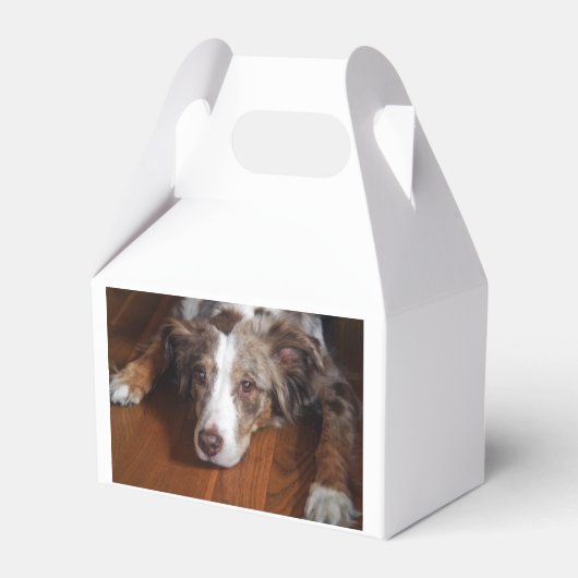 Rotschäfer Geschenkschachtel (Rückseite)