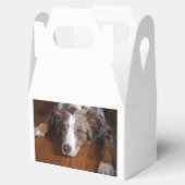 Rotschäfer Geschenkschachtel (Geöffnet)