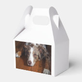 Rotschäfer Geschenkschachtel (Vorderseite)