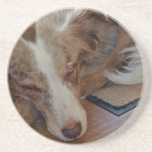 Rotschäfer Getränkeuntersetzer