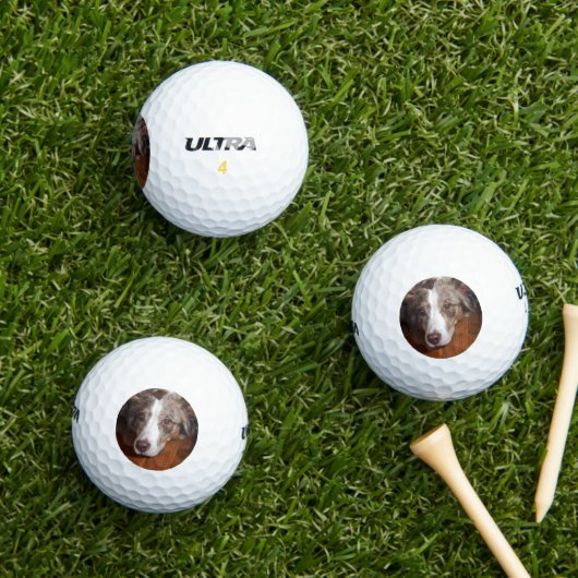 Rotschäfer Golfball (Insitu Gras)