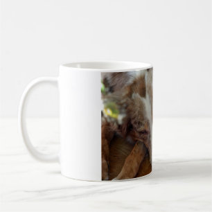 Rotschäfer Kaffeetasse