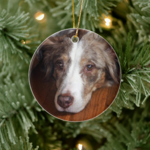 Rotschäfer Keramik Ornament