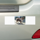 Rotschäfer-Liebe Autoaufkleber (Auf Auto)